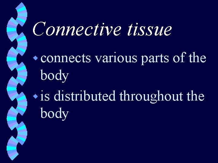 Connective tissue w connects various parts of the body w is distributed throughout the