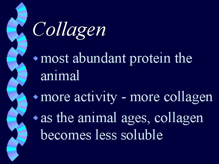 Collagen w most abundant protein the animal w more activity - more collagen w