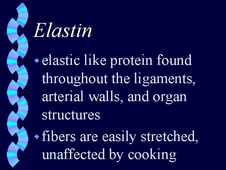 Elastin w elastic like protein found throughout the ligaments, arterial walls, and organ structures