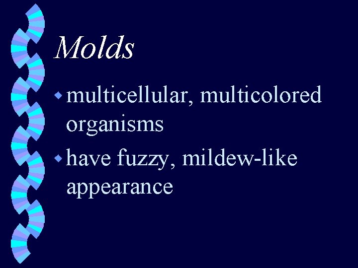 Molds w multicellular, multicolored organisms w have fuzzy, mildew-like appearance 