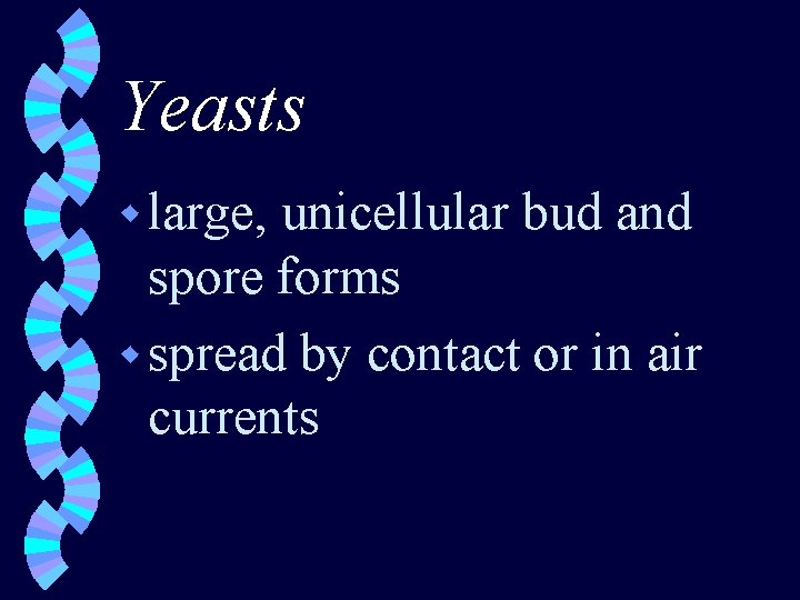 Yeasts w large, unicellular bud and spore forms w spread by contact or in