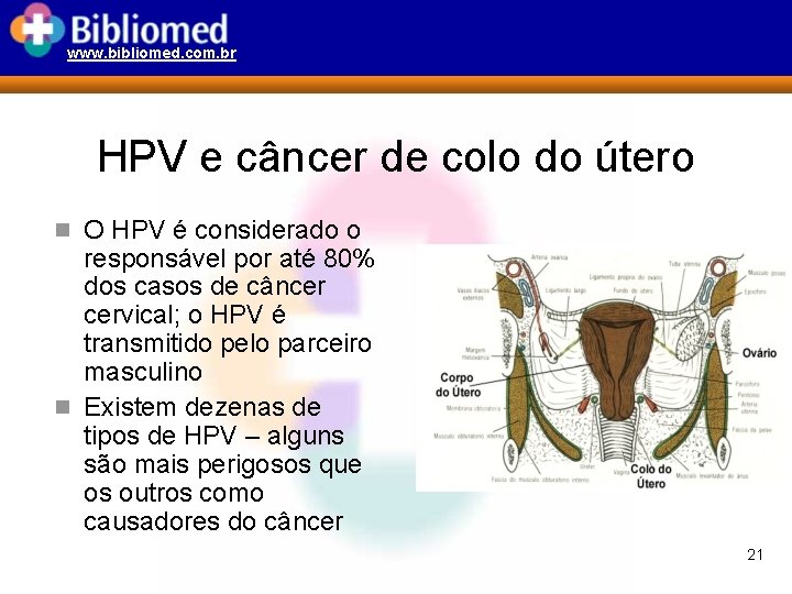 www. bibliomed. com. br HPV e câncer de colo do útero n O HPV