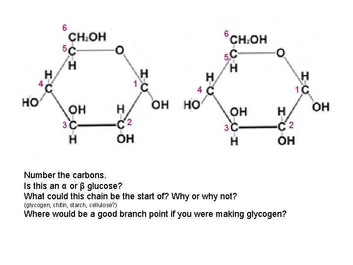 6 6 5 5 4 1 3 2 4 1 3 Number the carbons.