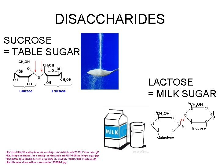 DISACCHARIDES SUCROSE = TABLE SUGAR LACTOSE = MILK SUGAR http: //suckitupfitnessbydebeers. com/wp-content/uploads/2013/11/sucrose. gif http: