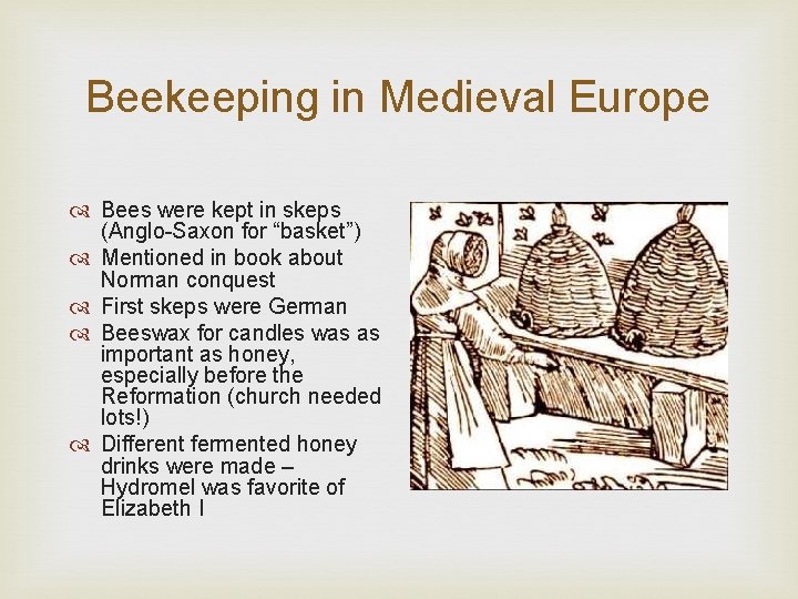 Beekeeping in Medieval Europe Bees were kept in skeps (Anglo-Saxon for “basket”) Mentioned in