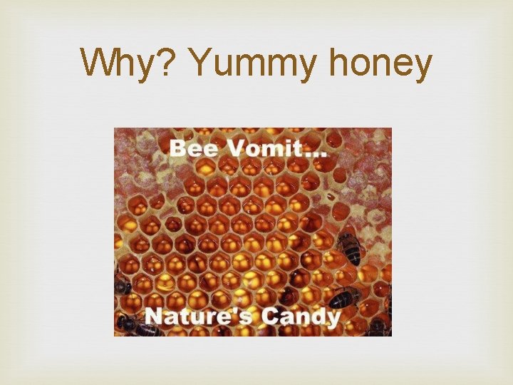 Why? Yummy honey 