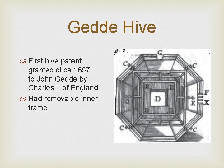 Gedde Hive First hive patent granted circa 1657 to John Gedde by Charles II