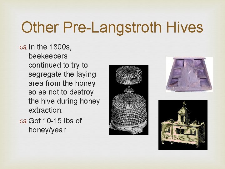 Other Pre-Langstroth Hives In the 1800 s, beekeepers continued to try to segregate the