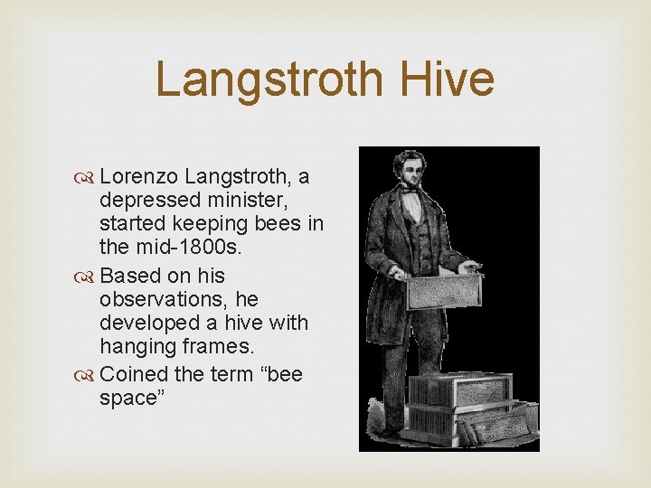 Langstroth Hive Lorenzo Langstroth, a depressed minister, started keeping bees in the mid-1800 s.
