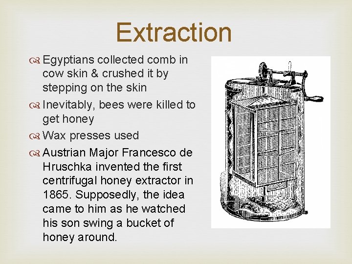Extraction Egyptians collected comb in cow skin & crushed it by stepping on the