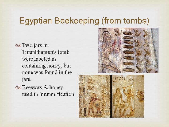 Egyptian Beekeeping (from tombs) Two jars in Tutankhamun's tomb were labeled as containing honey,