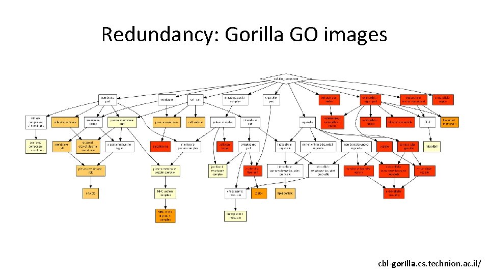 Redundancy: Gorilla GO images cbl-gorilla. cs. technion. ac. il/ 