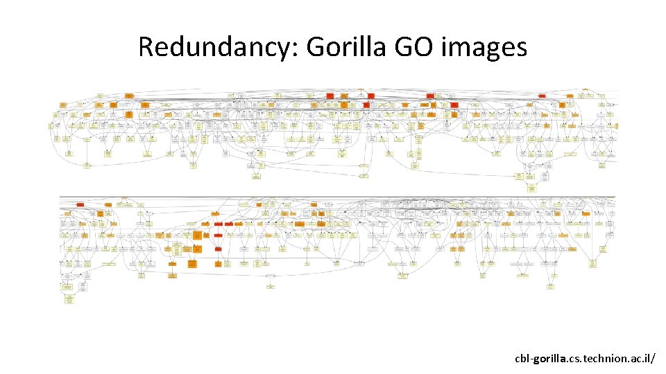 Redundancy: Gorilla GO images cbl-gorilla. cs. technion. ac. il/ 