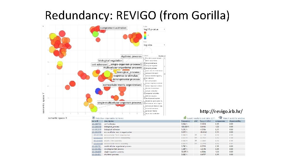 Redundancy: REVIGO (from Gorilla) http: //revigo. irb. hr/ 