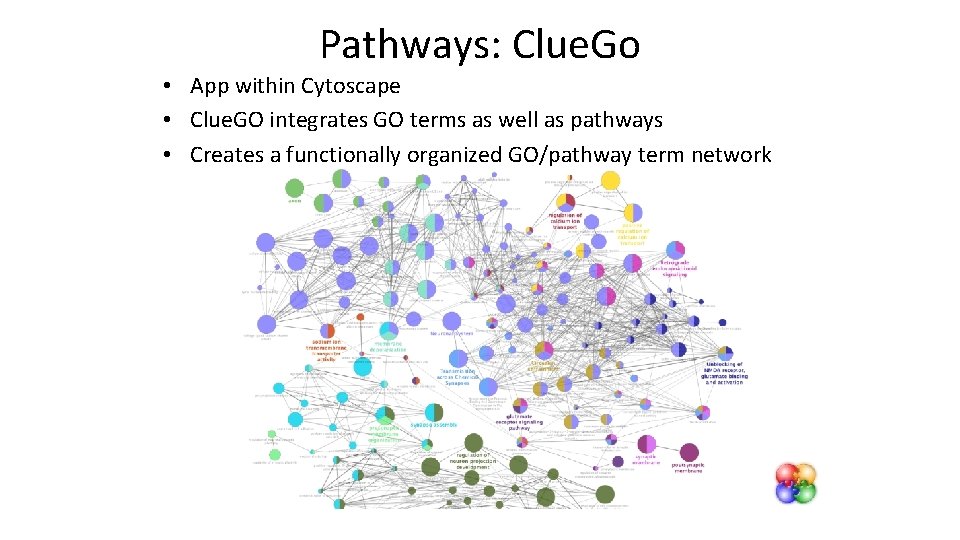 Pathways: Clue. Go • App within Cytoscape • Clue. GO integrates GO terms as