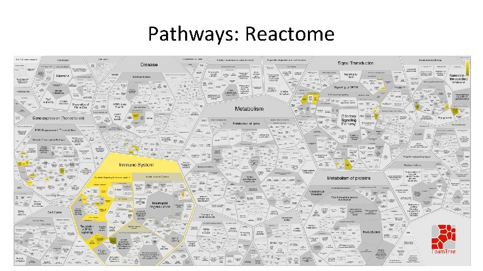 Pathways: Reactome 