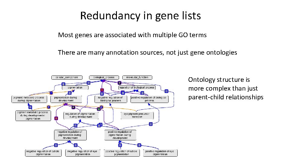Redundancy in gene lists Most genes are associated with multiple GO terms There are