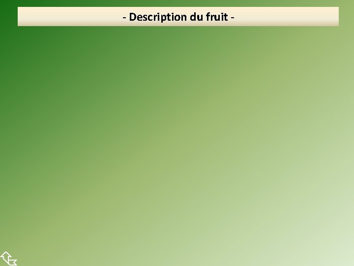  - Description du fruit - 