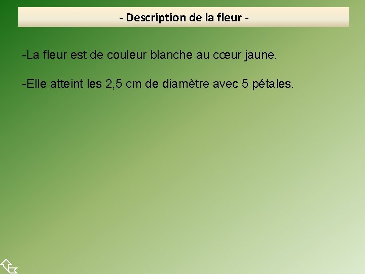  - Description de la fleur -La fleur est de couleur blanche au cœur