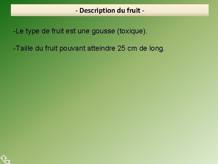  - Description du fruit -Le type de fruit est une gousse (toxique). -Taille