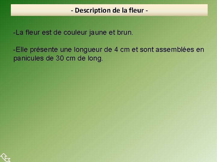  - Description de la fleur -La fleur est de couleur jaune et brun.