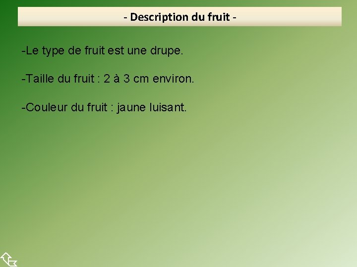  - Description du fruit -Le type de fruit est une drupe. -Taille du