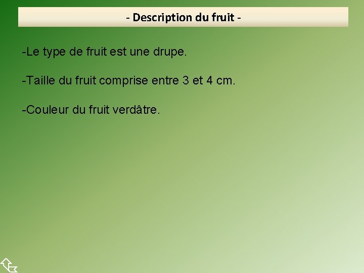  - Description du fruit -Le type de fruit est une drupe. -Taille du