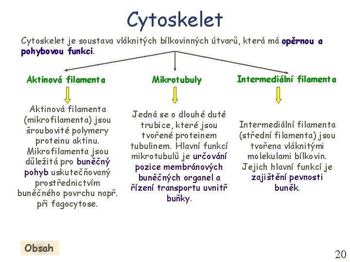 Cytoskelet je soustava vláknitých bílkovinných útvarů, která má opěrnou a pohybovou funkci. Aktinová filamenta