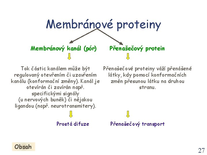 Membránové proteiny Membránový kanál (pór) Přenašečový protein Přenašečové proteiny váží přenášené Tok částic kanálem