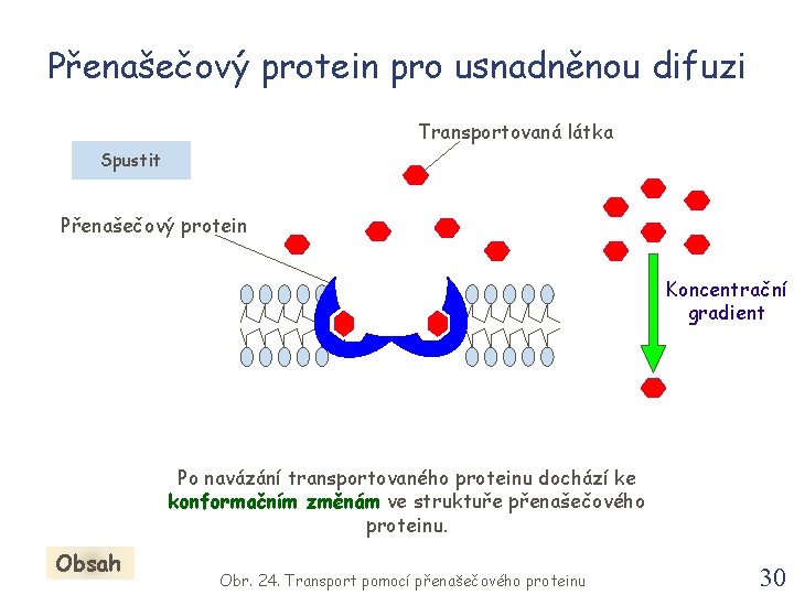 Přenašečový protein pro usnadněnou difuzi Transportovaná látka Spustit Přenašečový protein Koncentrační gradient Po navázání