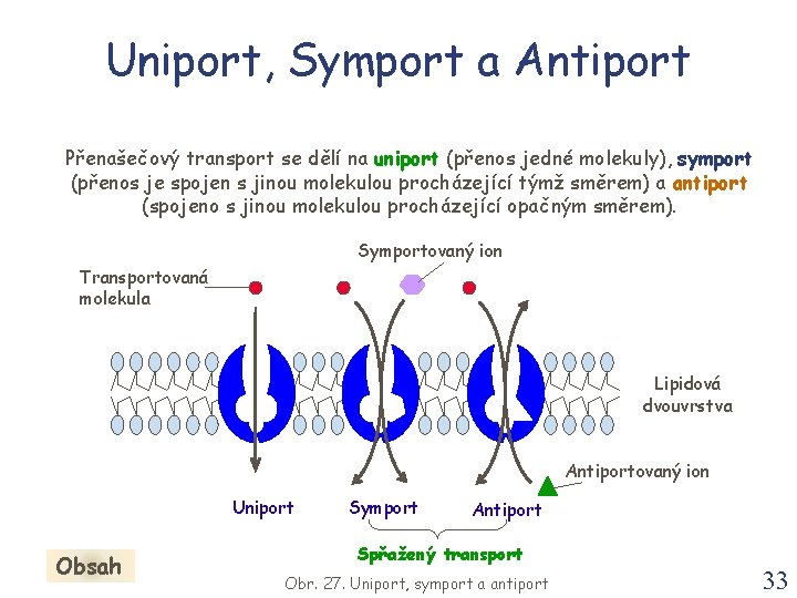 Uniport, Symport a Antiport Přenašečový transport se dělí na uniport (přenos jedné molekuly), symport