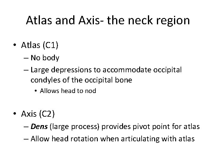 Atlas and Axis- the neck region • Atlas (C 1) – No body – Atlas and Axis- the neck region • Atlas (C 1) – No body –