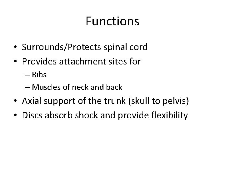 Functions • Surrounds/Protects spinal cord • Provides attachment sites for – Ribs – Muscles