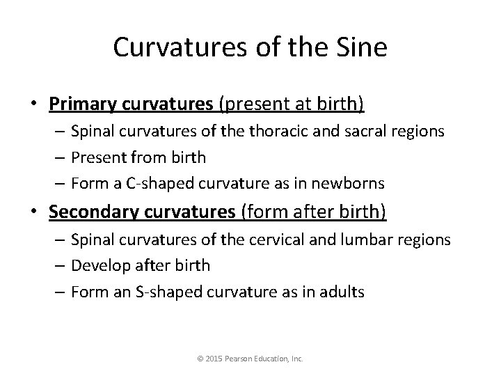 Curvatures of the Sine • Primary curvatures (present at birth) – Spinal curvatures of