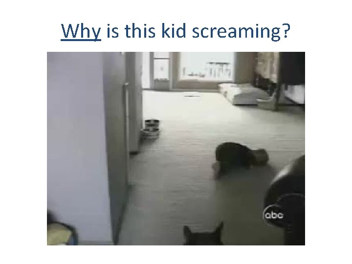Why is this kid screaming? 