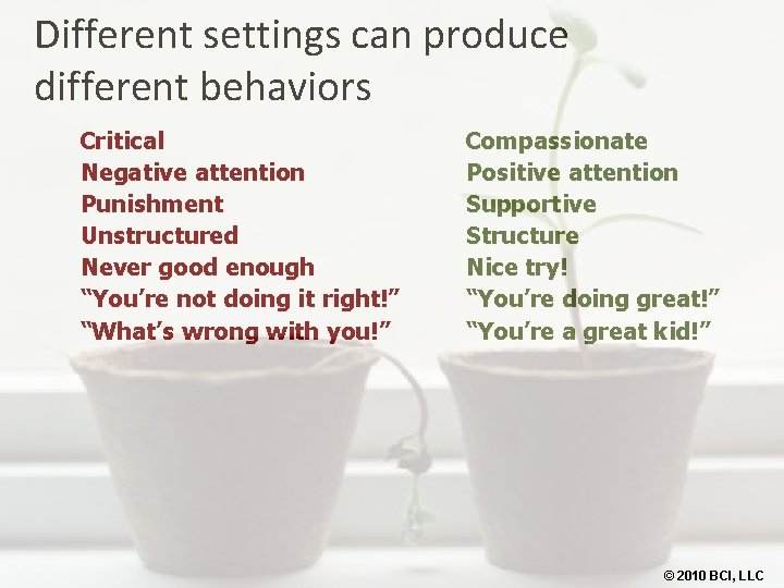 Different settings can produce different behaviors Critical Negative attention Punishment Unstructured Never good enough