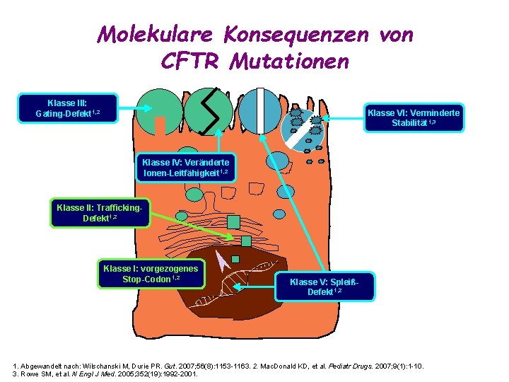 Molekulare Konsequenzen von CFTR Mutationen Klasse III: Gating-Defekt 1, 2 Klasse VI: Verminderte Stabilität