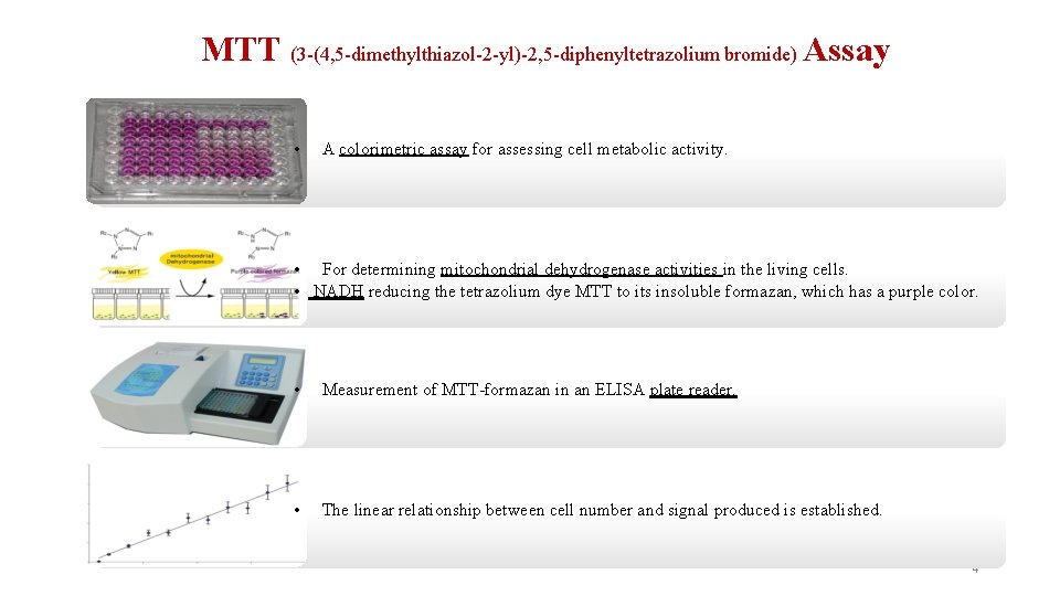 MTT (3 -(4, 5 -dimethylthiazol-2 -yl)-2, 5 -diphenyltetrazolium bromide) Assay • A colorimetric assay