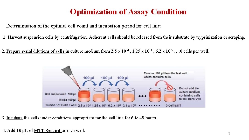 Optimization of Assay Condition Determination of the optimal cell count and incubation period for
