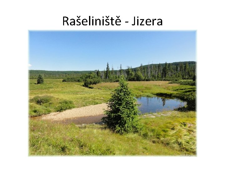 Rašeliniště - Jizera 