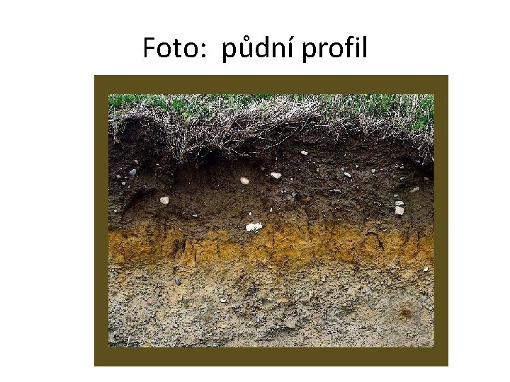 Foto: půdní profil 