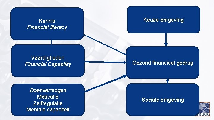 Kennis Financial literacy Keuze-omgeving Vaardigheden Financial Capability Gezond financieel gedrag Doenvermogen Motivatie Zelfregulatie Mentale