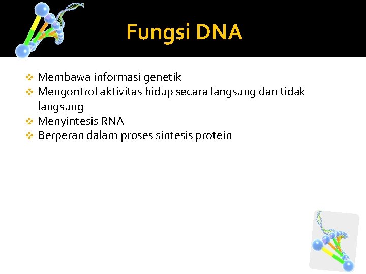 Fungsi DNA Membawa informasi genetik Mengontrol aktivitas hidup secara langsung dan tidak langsung v