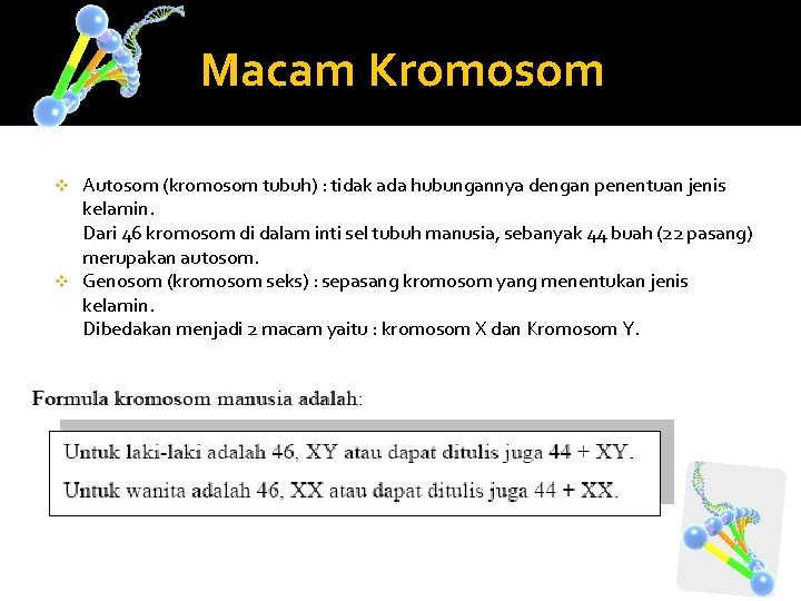 Macam Kromosom Autosom (kromosom tubuh) : tidak ada hubungannya dengan penentuan jenis kelamin. Dari