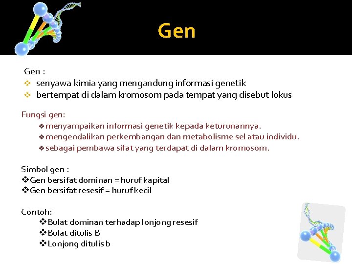 Gen : v senyawa kimia yang mengandung informasi genetik v bertempat di dalam kromosom