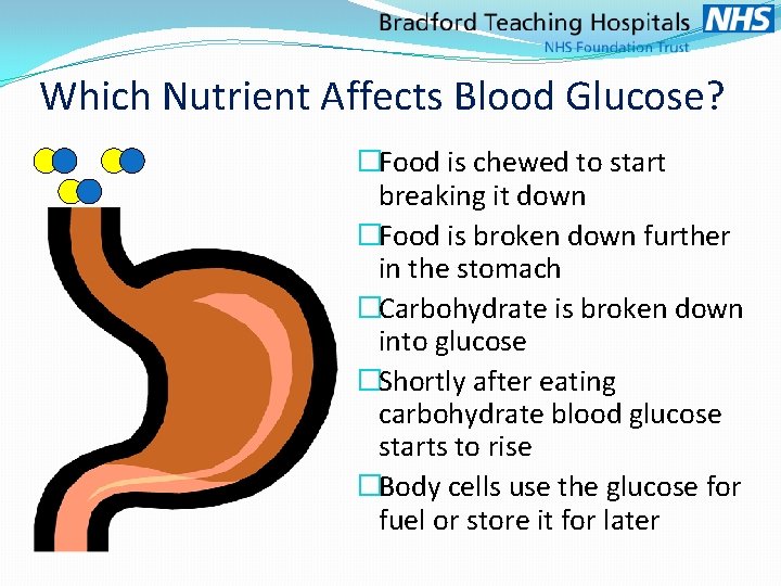 Which Nutrient Affects Blood Glucose? �Food is chewed to start breaking it down �Food