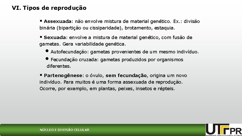 VI. Tipos de reprodução § Assexuada: não envolve mistura de material genético. Ex. :