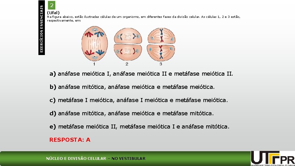 EXERCÍCIOS ESSENCIAIS 2 (Ufal) Na figura abaixo, estão ilustradas células de um organismo, em