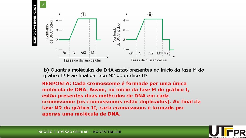 EXERCÍCIOS ESSENCIAIS 7 b) Quantas moléculas de DNA estão presentes no início da fase