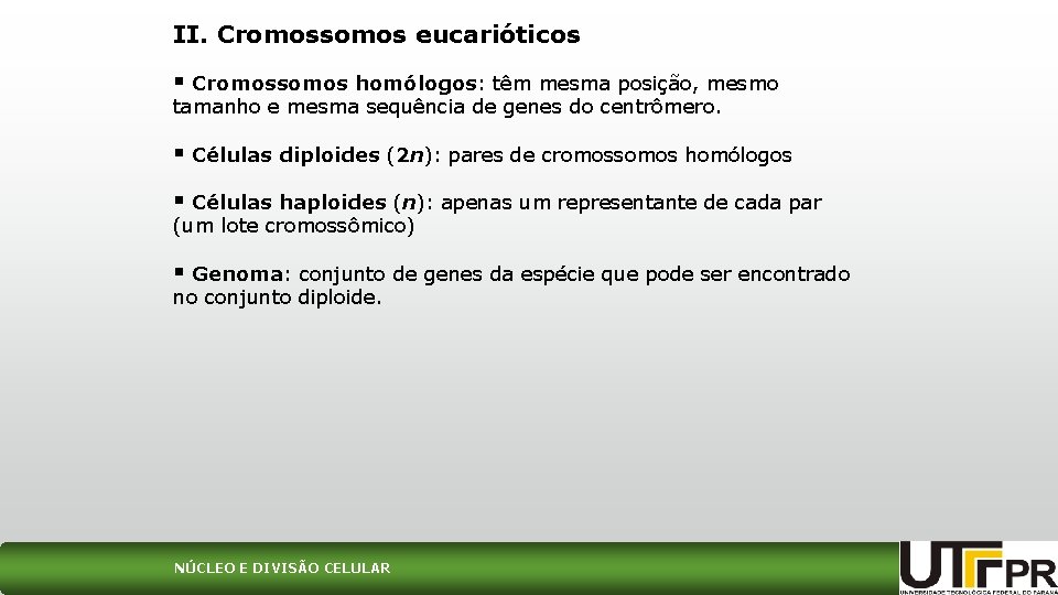 II. Cromossomos eucarióticos § Cromossomos homólogos: têm mesma posição, mesmo tamanho e mesma sequência